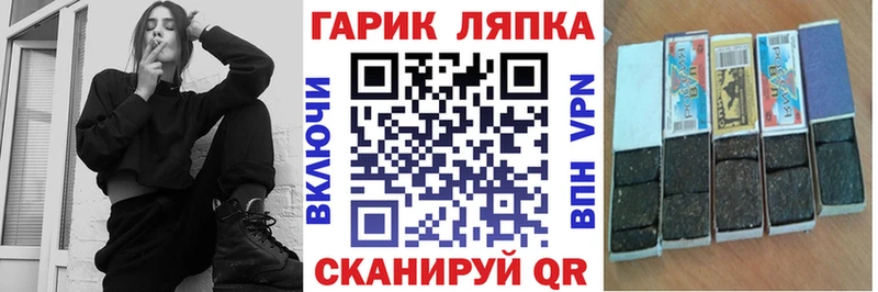 купить наркотики сайты  МЕГА ссылка  ГАШ Cannabis  Светогорск 