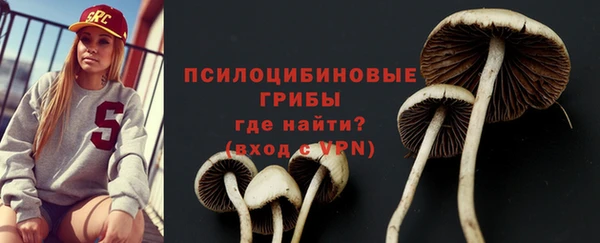 бутик Снежногорск