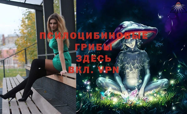 прущая мука Богородск