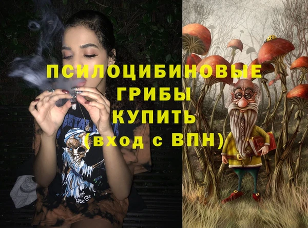 мет Богданович