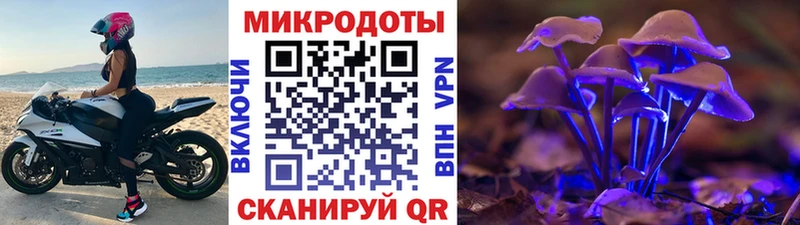 MEGA вход  Светогорск  Псилоцибиновые грибы GOLDEN TEACHER  купить наркоту 